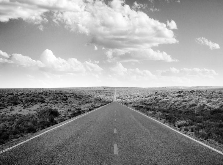 2025 Road Trip To Go