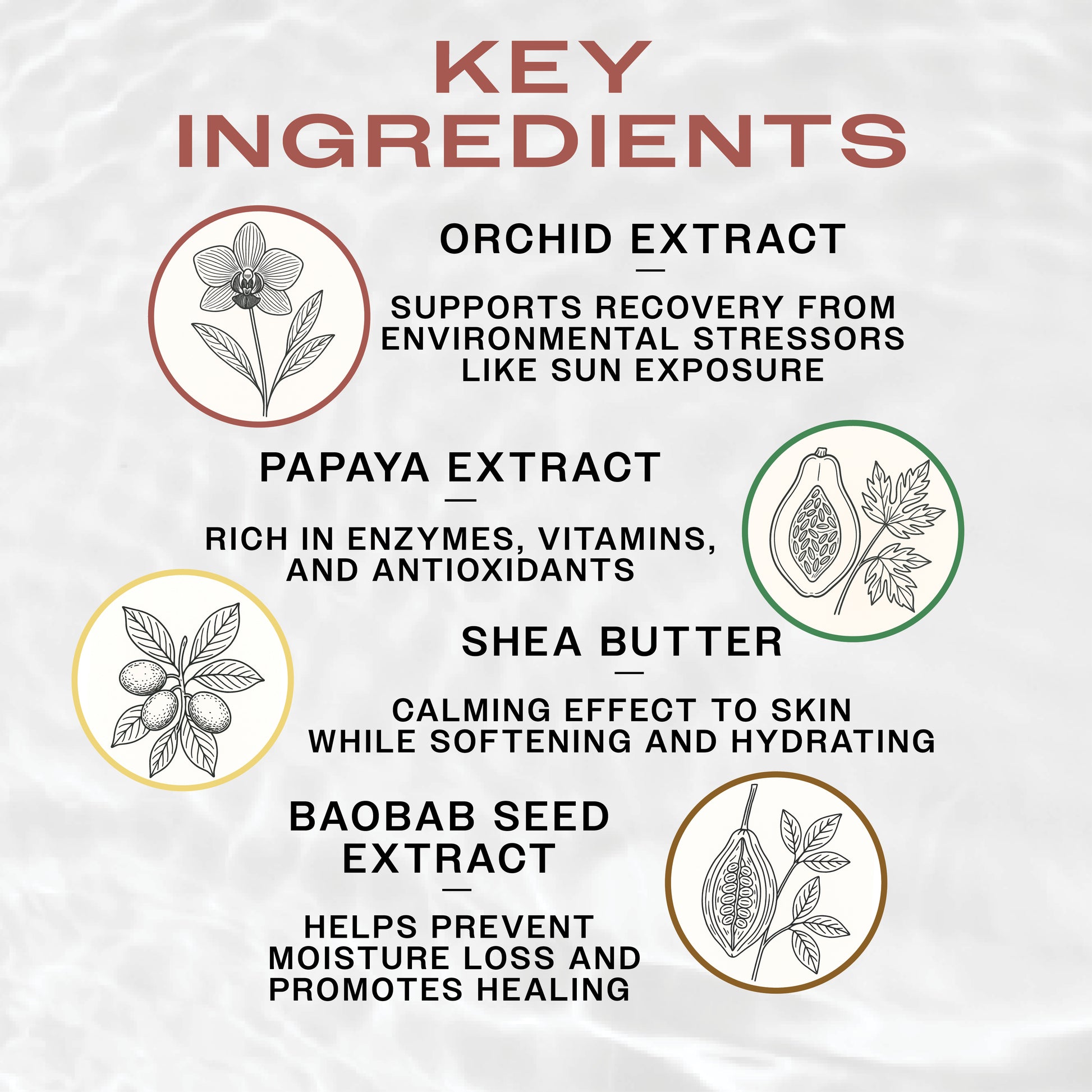 Hydrabalm skincare product by Vendor, featuring a sleek container with hydrating formula and natural ingredients visible on the label.